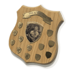 The-ACT-Award-wooden-plaque-featuring-a-memorial-photo-of-Andy-Coles-and-brass-engraved-honor-plates-for-recipients.